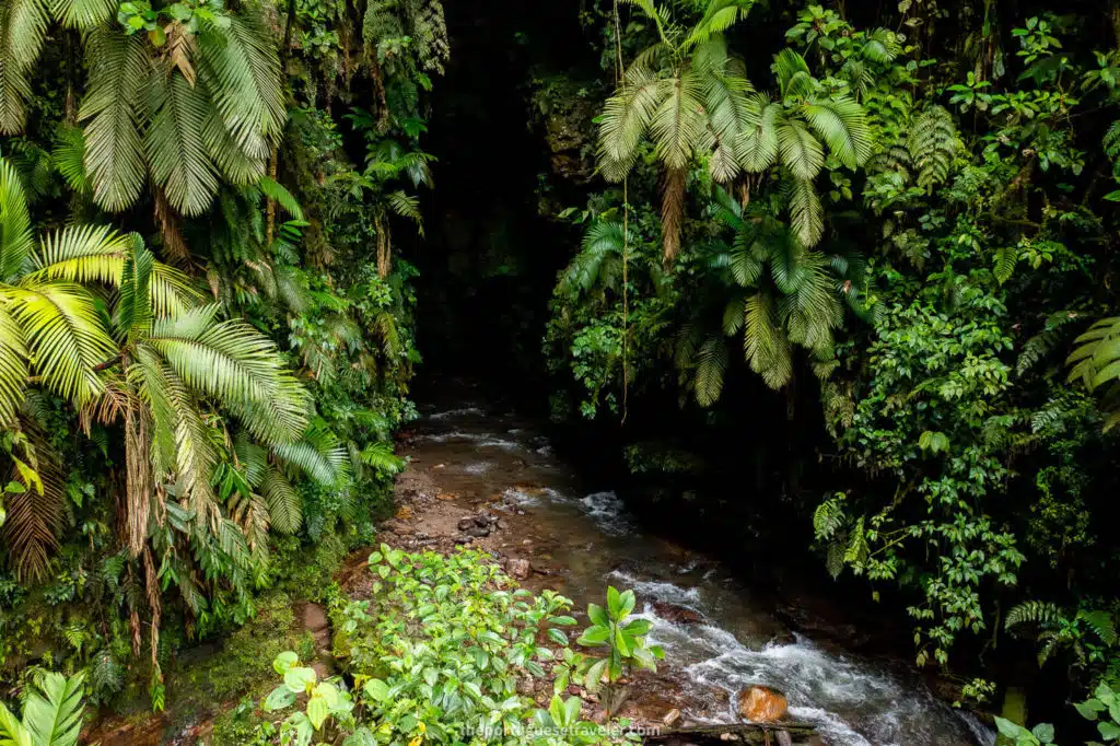 The entrance to Gruta de Los Tayos with a drone