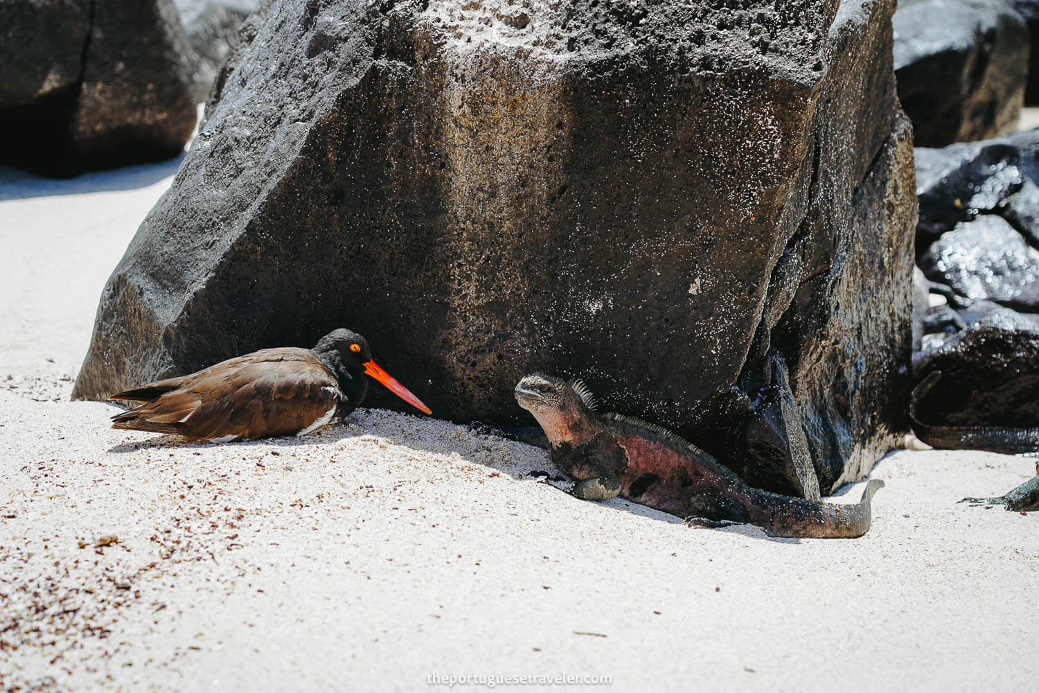 Friendly meetups at the beach