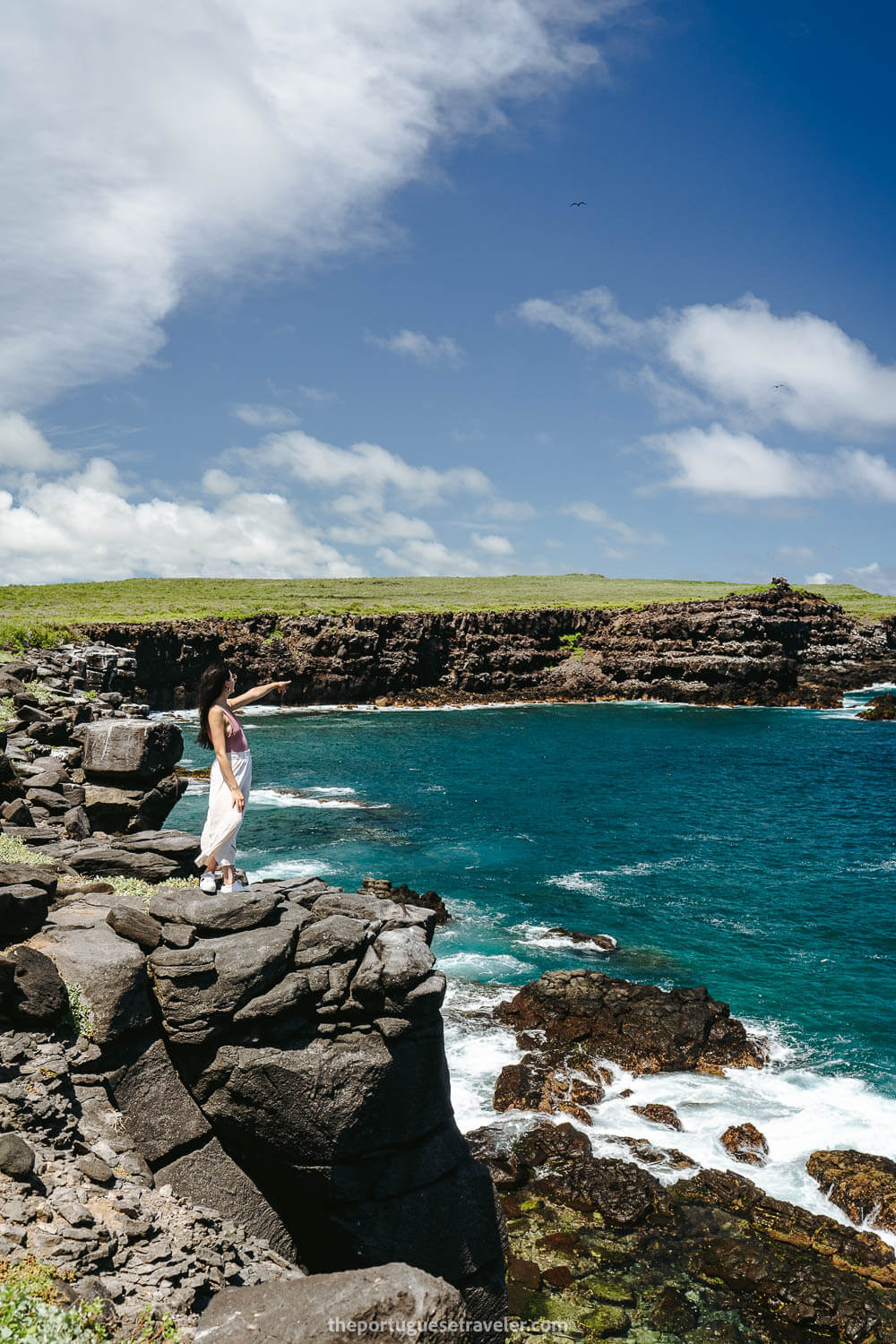 Punta Suarez Cliffside