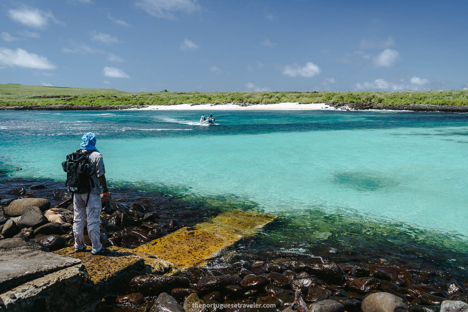 The arrival at Punta Suarez's dock on the Espanola Island Tour