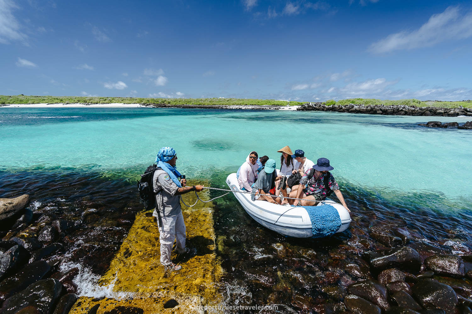 The arrival at Punta Suarez