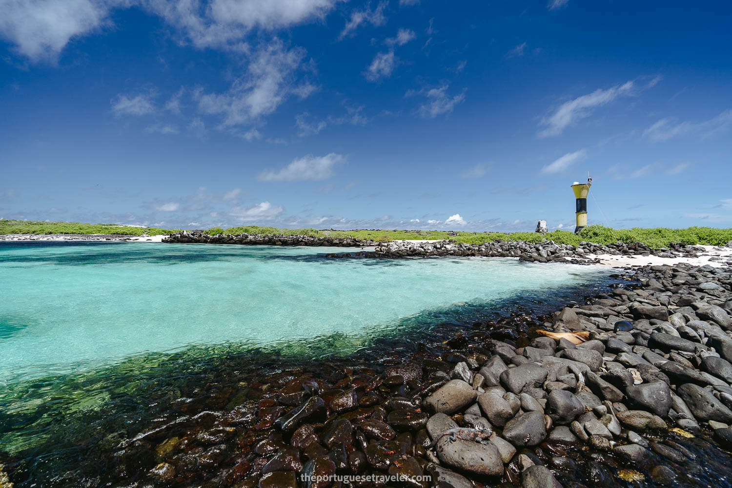 Punta Suarez Lighthouse on the Espanola Island Tour