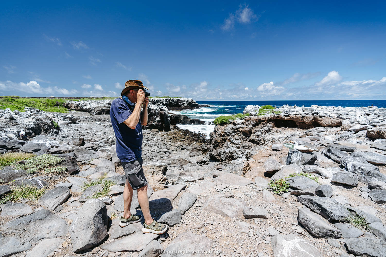 A Tourist photographing a Nazca Booby