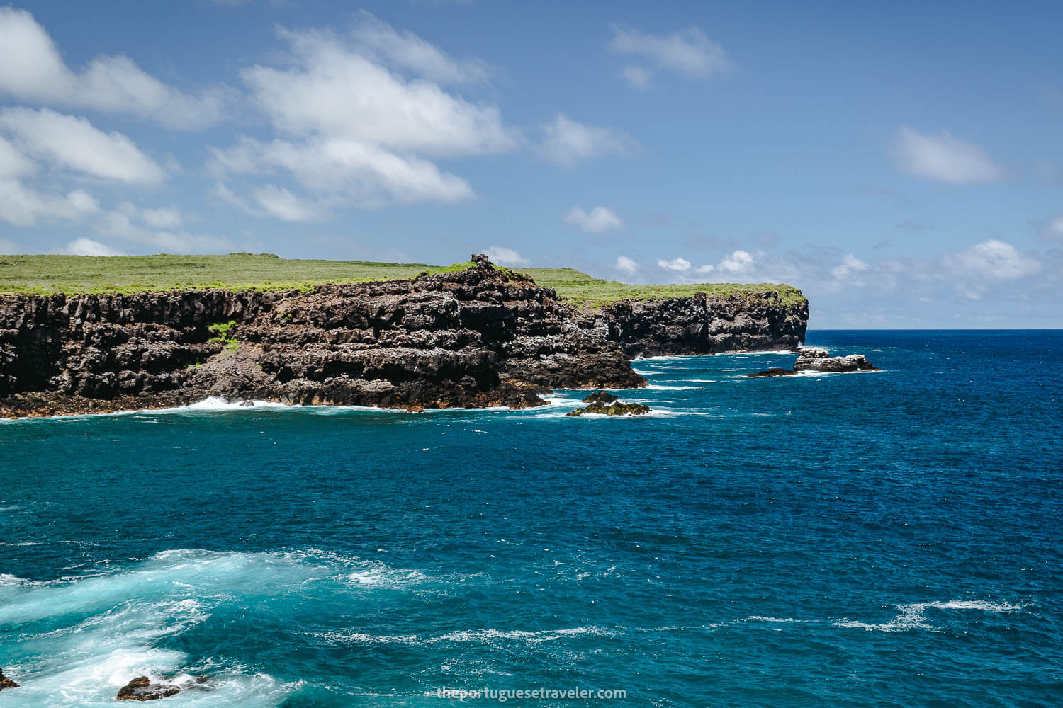 Punta Suarez cliffside