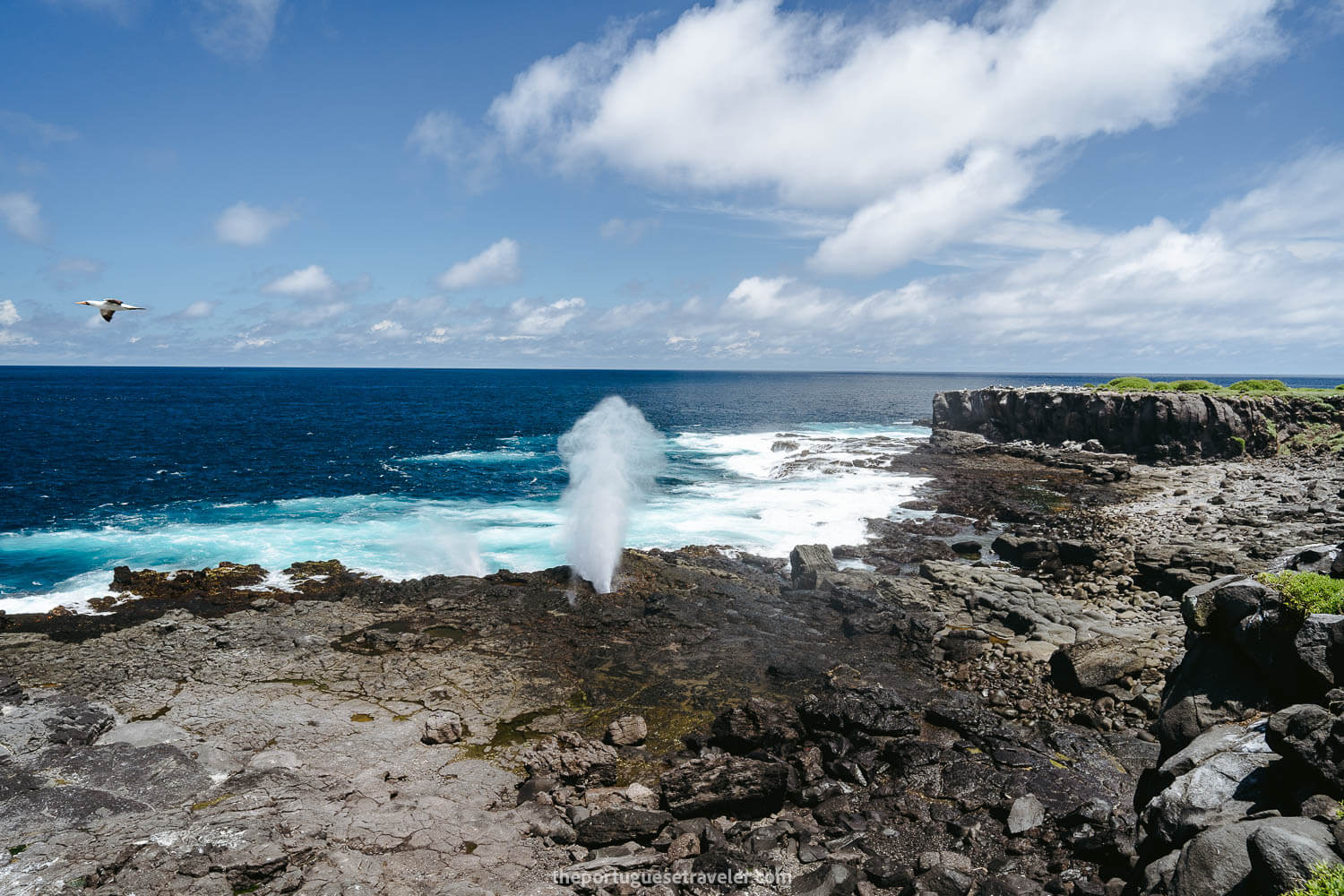 The famous Blowhole of Espanola Island