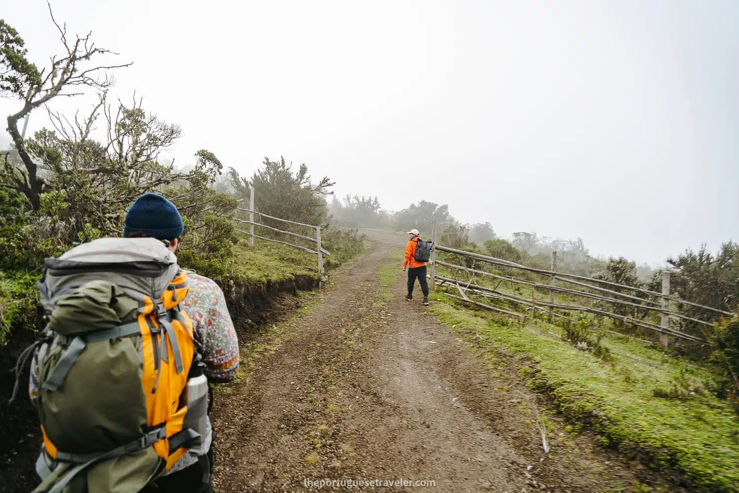 The start of the hike right after leaving the parking area