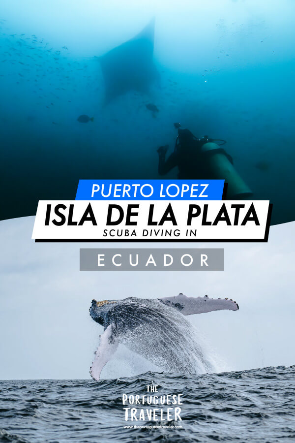 Diving in Isla de La Plata with Giant Manta Rays and watch Humpback Whales