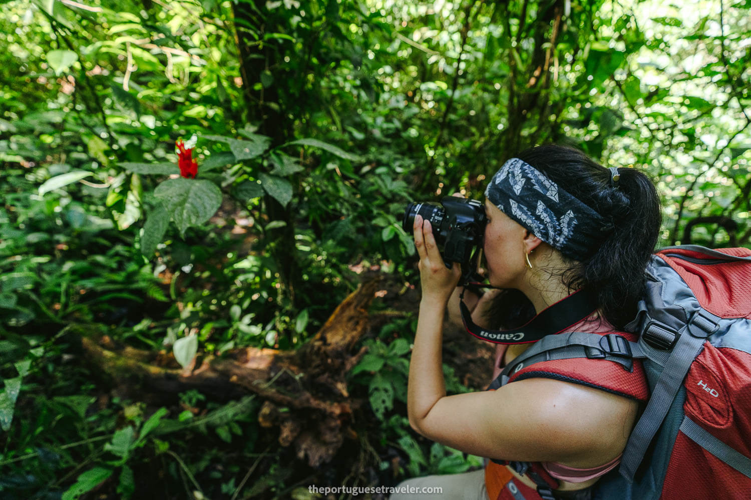 Jhos photographing some of the flora in the jungle