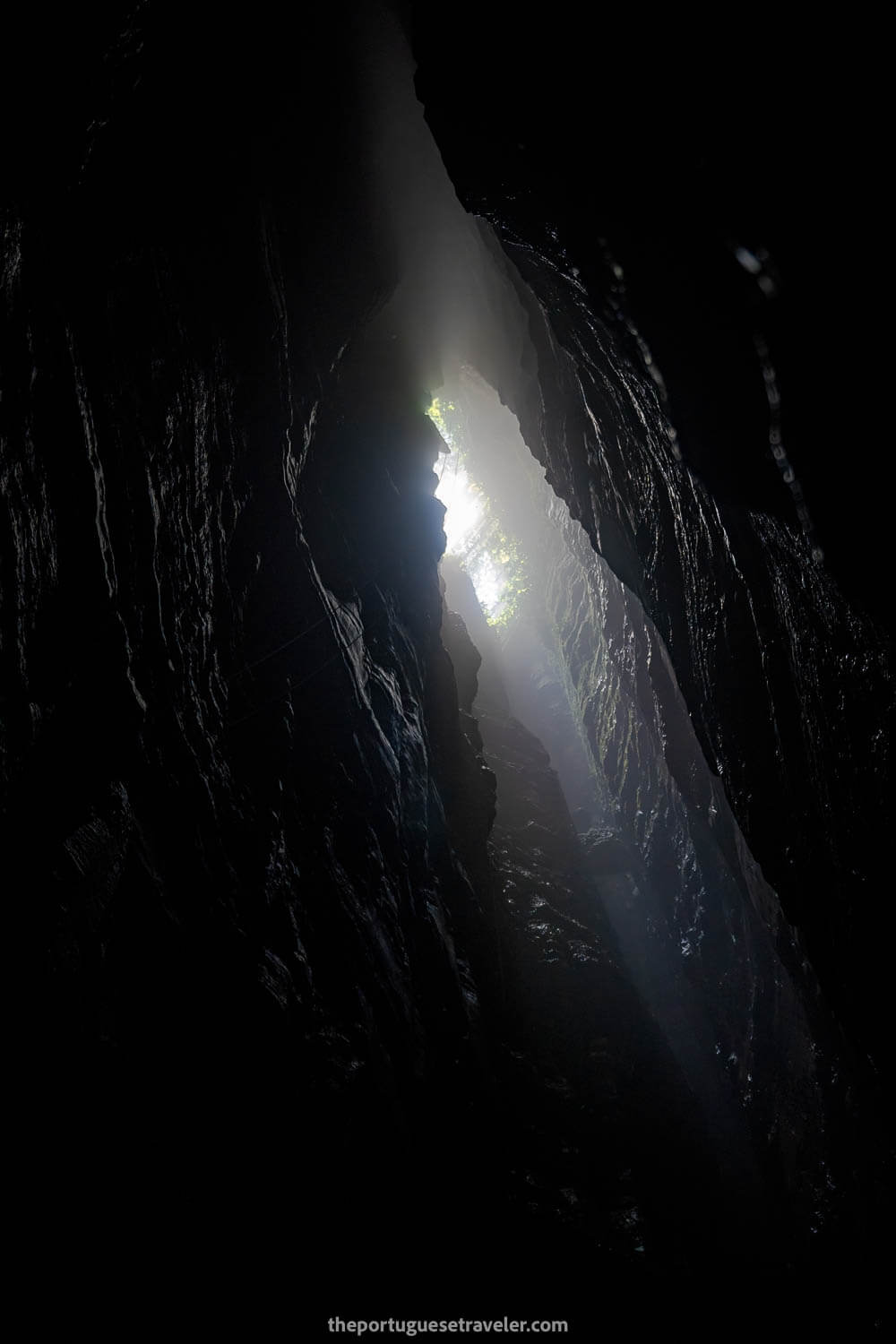The Entrance Shaft of Cueva de Los Tayos
