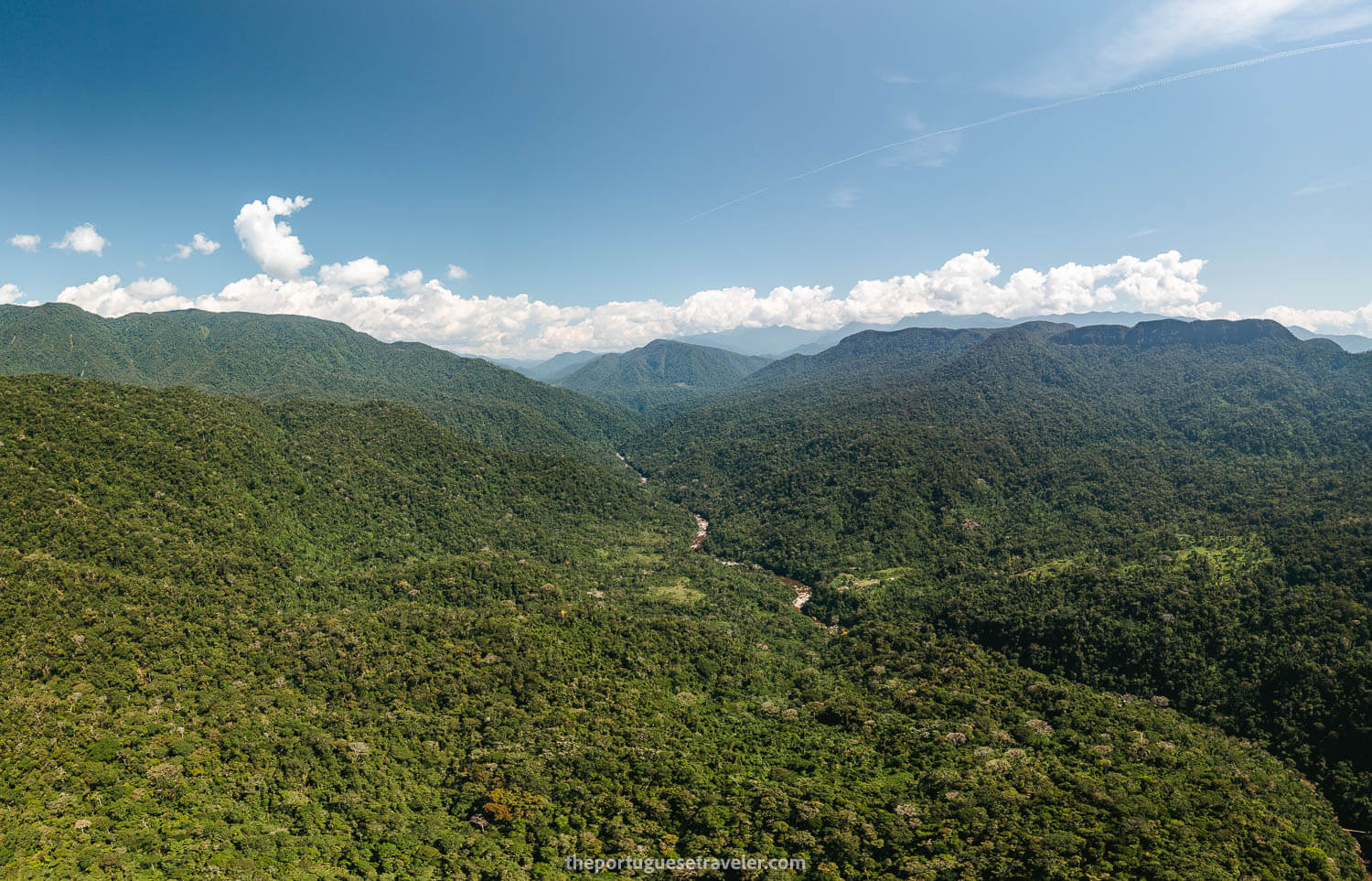 The view of the surroundings from above, on the Cueva de Los Tayos expedition.
