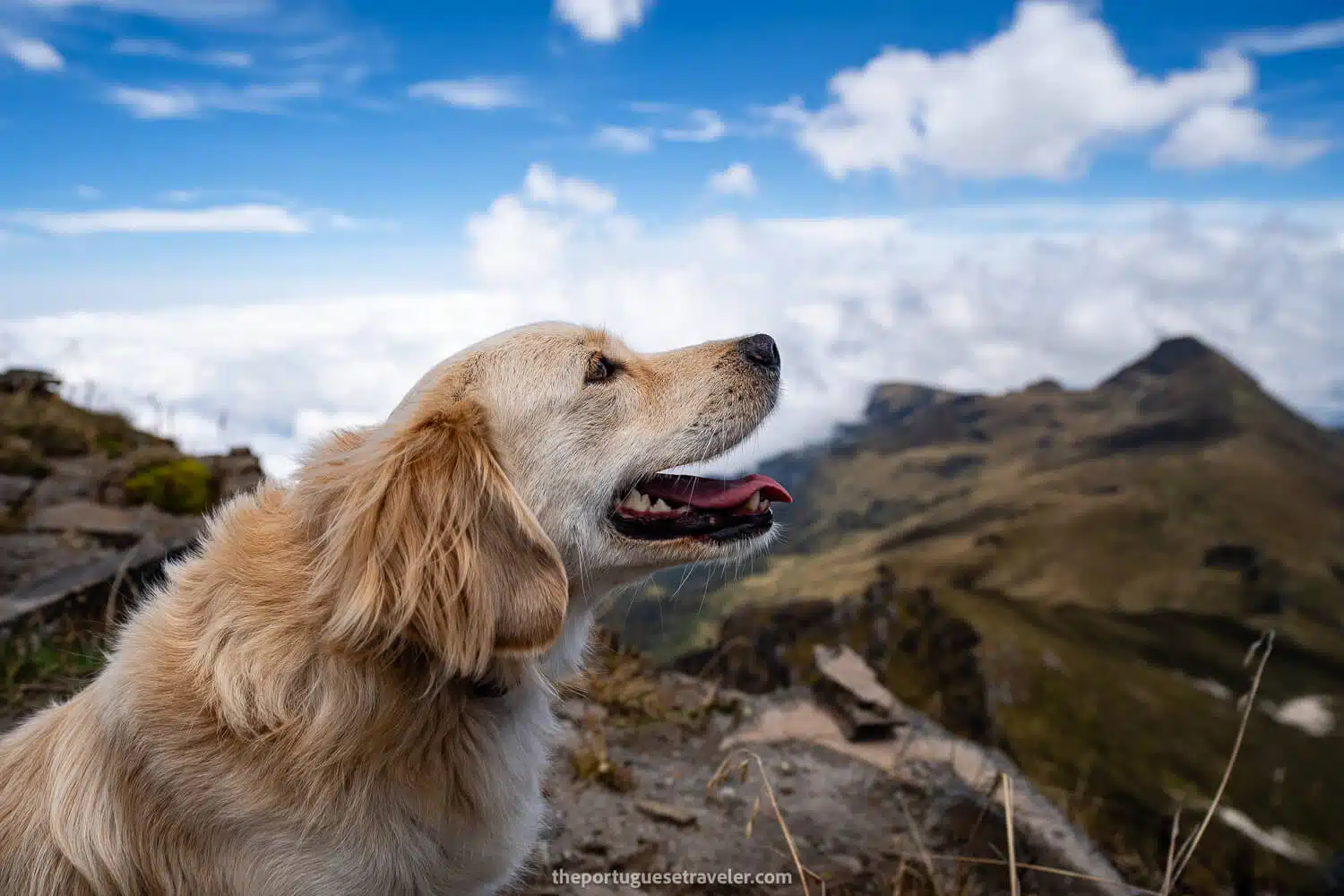 Tobi at Cerro Ladrillos