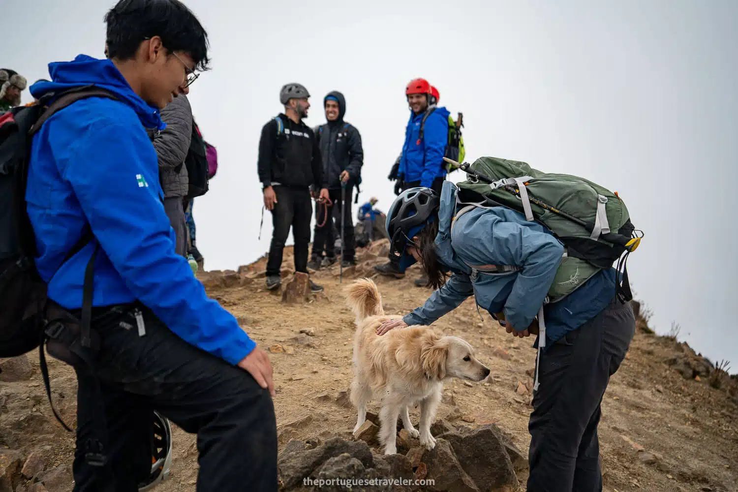 The summit of Rucu Pichincha with Tobi