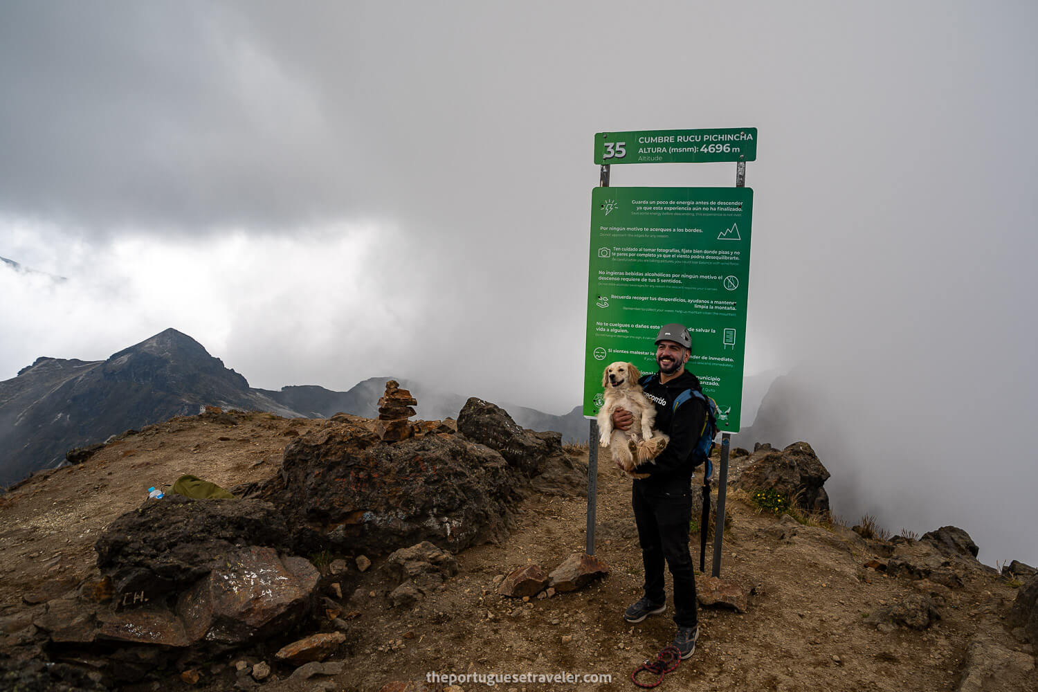 A happy doggo on the summit of Rucu Pichincha