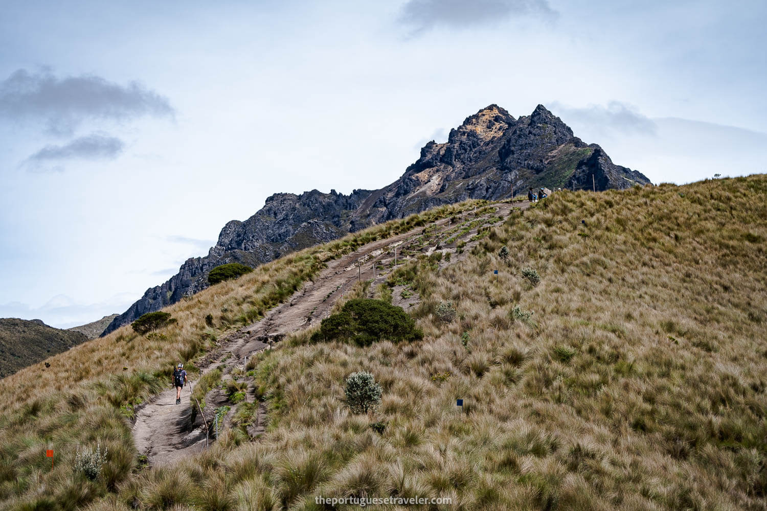 Rucu Pichincha's Hike