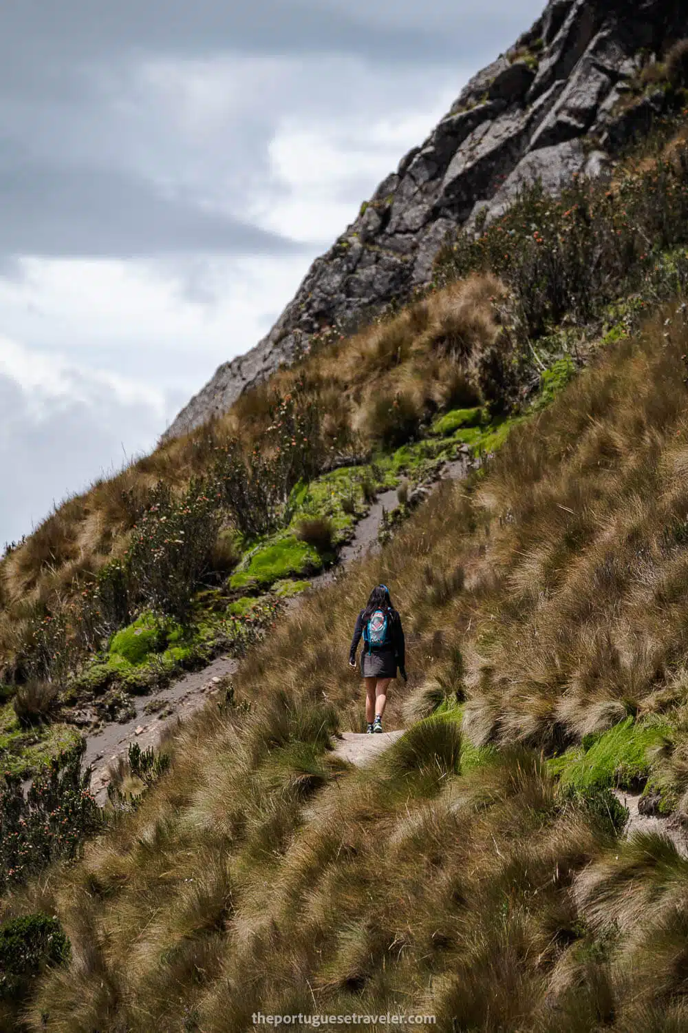 The way down from Rucu Pichincha's summit after the sand part