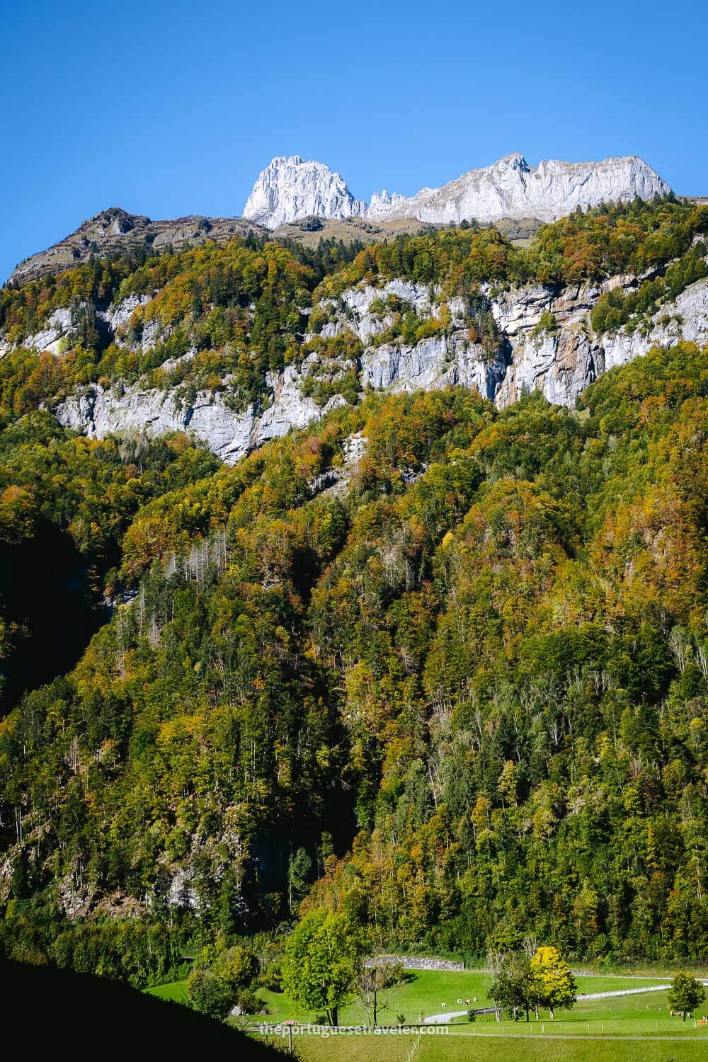 The Autumn colours in Glarus