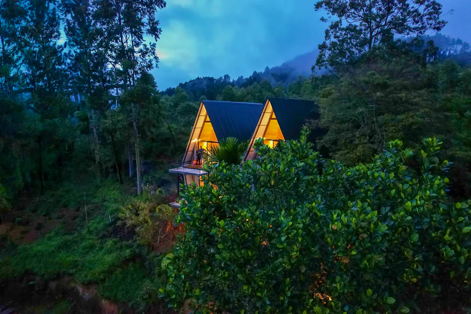 Wild Bee Hostel in Sri Lanka