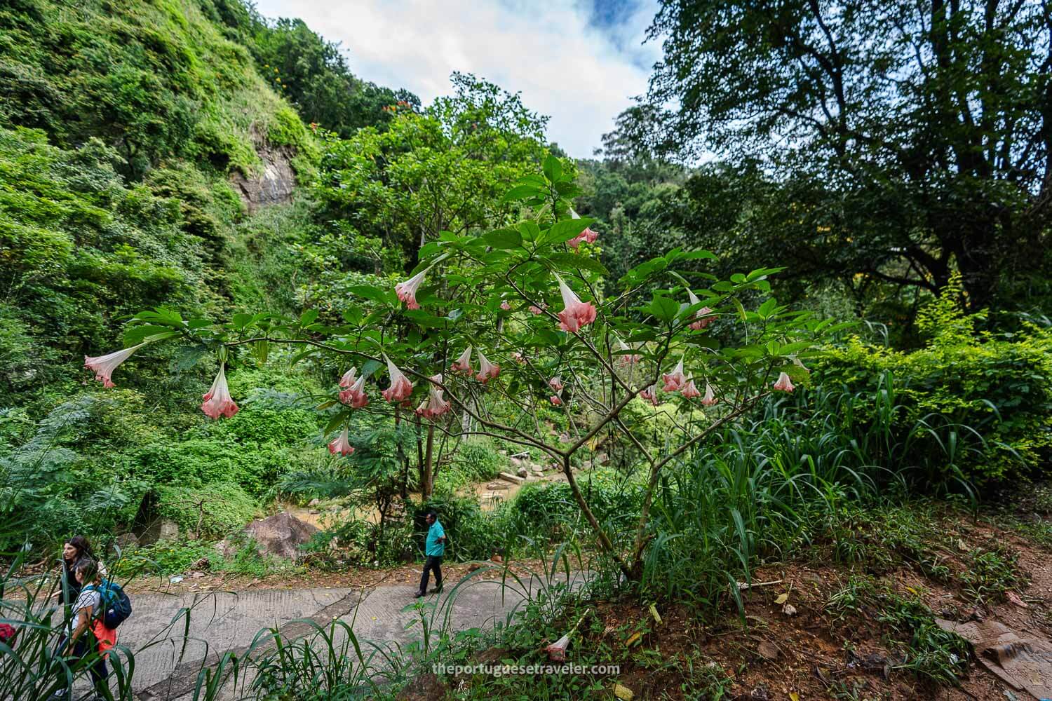 The zigzag path to the summit