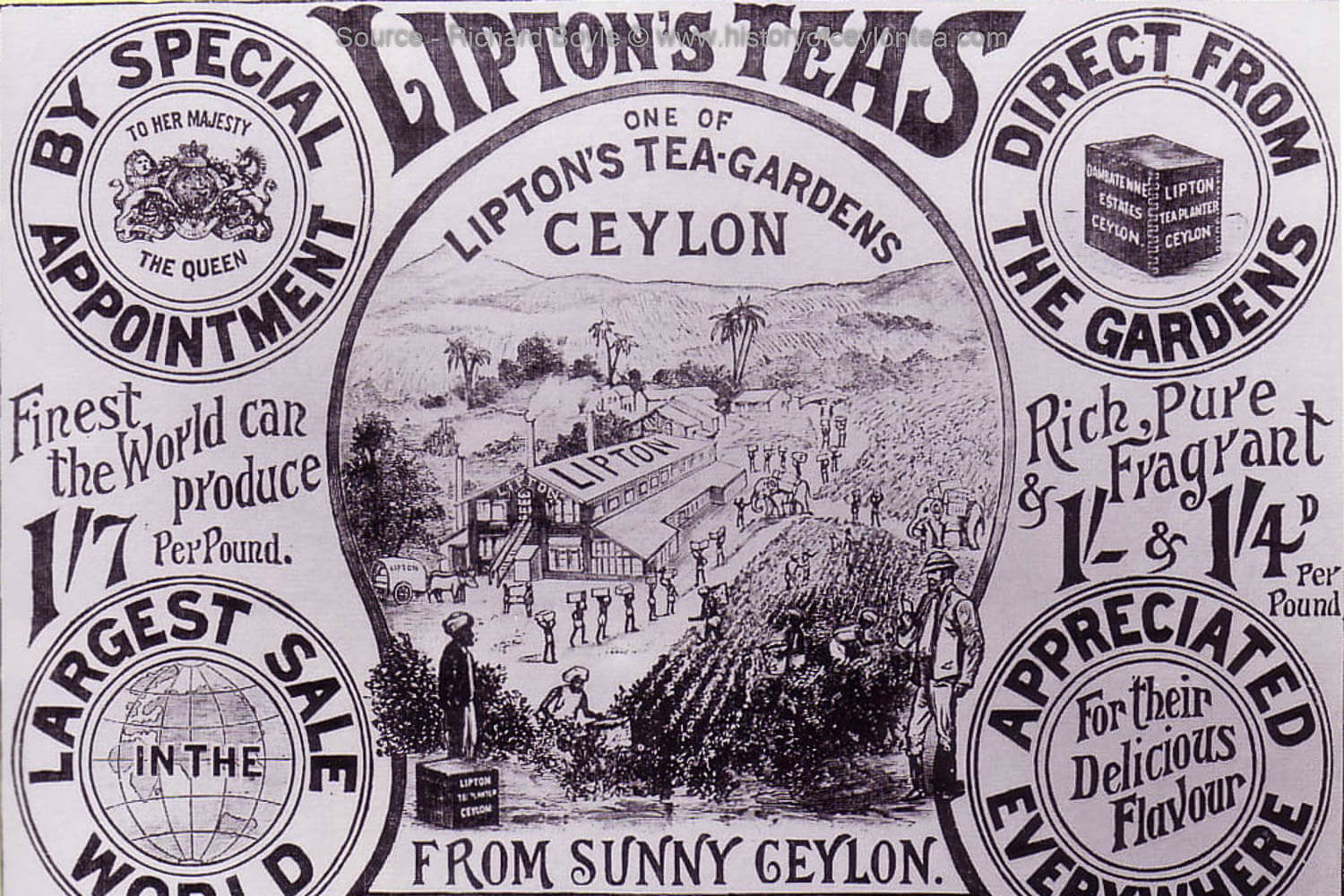 Lipton Tea's Advertising Panflet