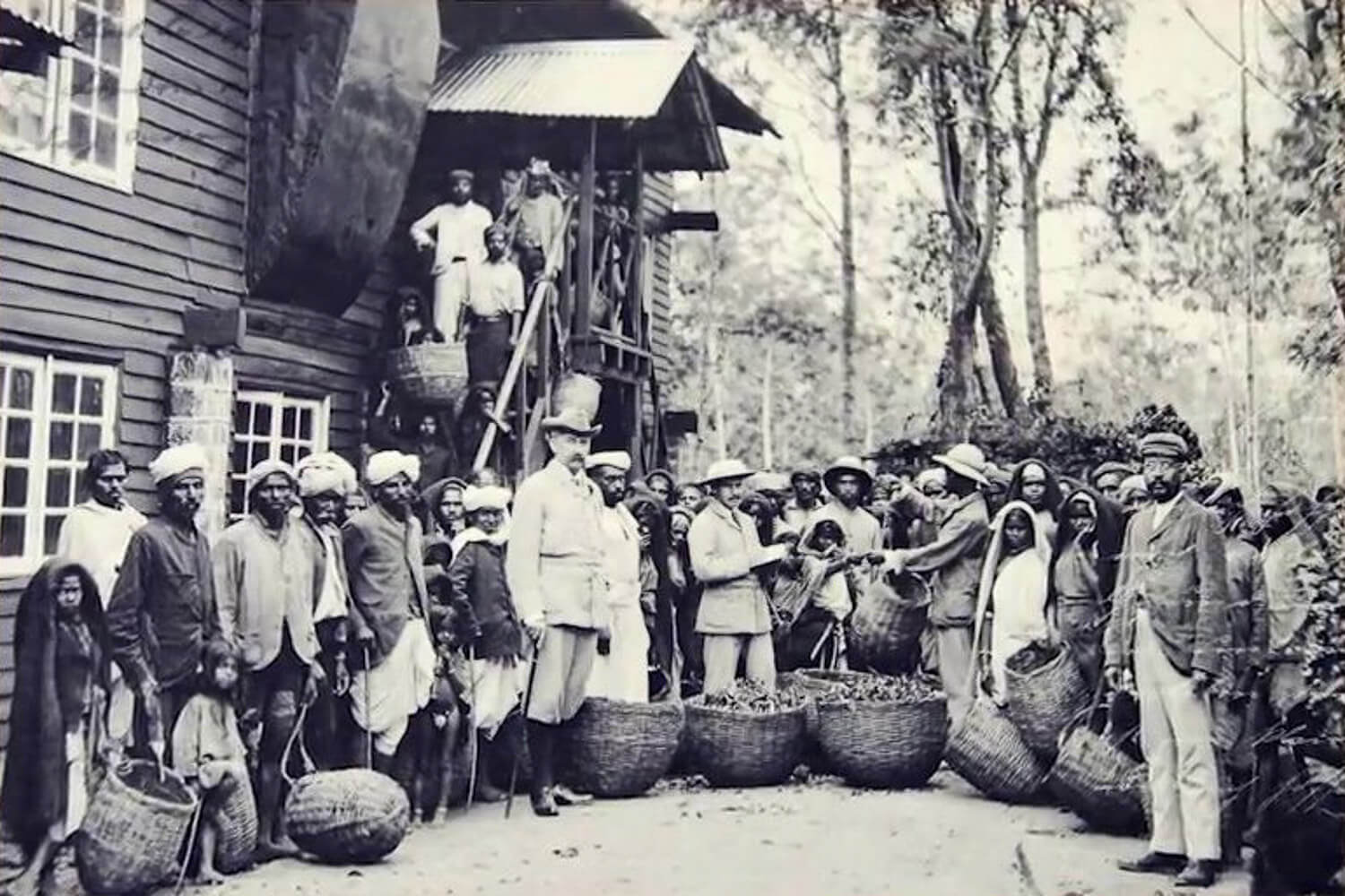 Historic Ceylon Tea Factory Photo