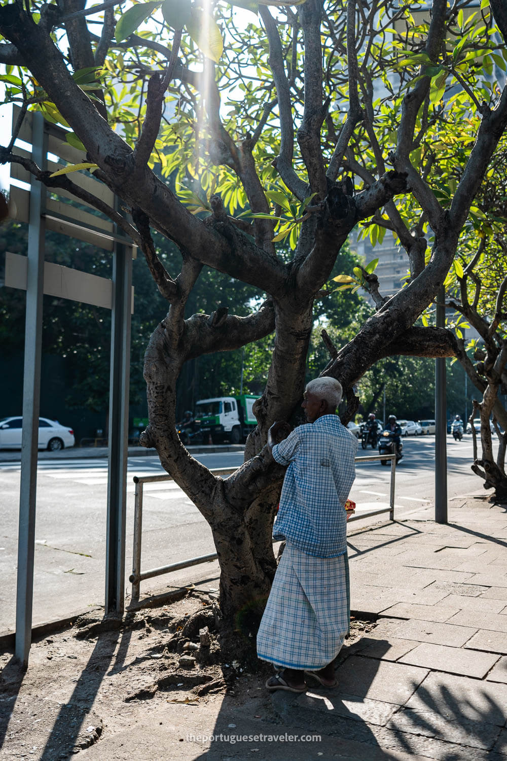 A local hugging a tree