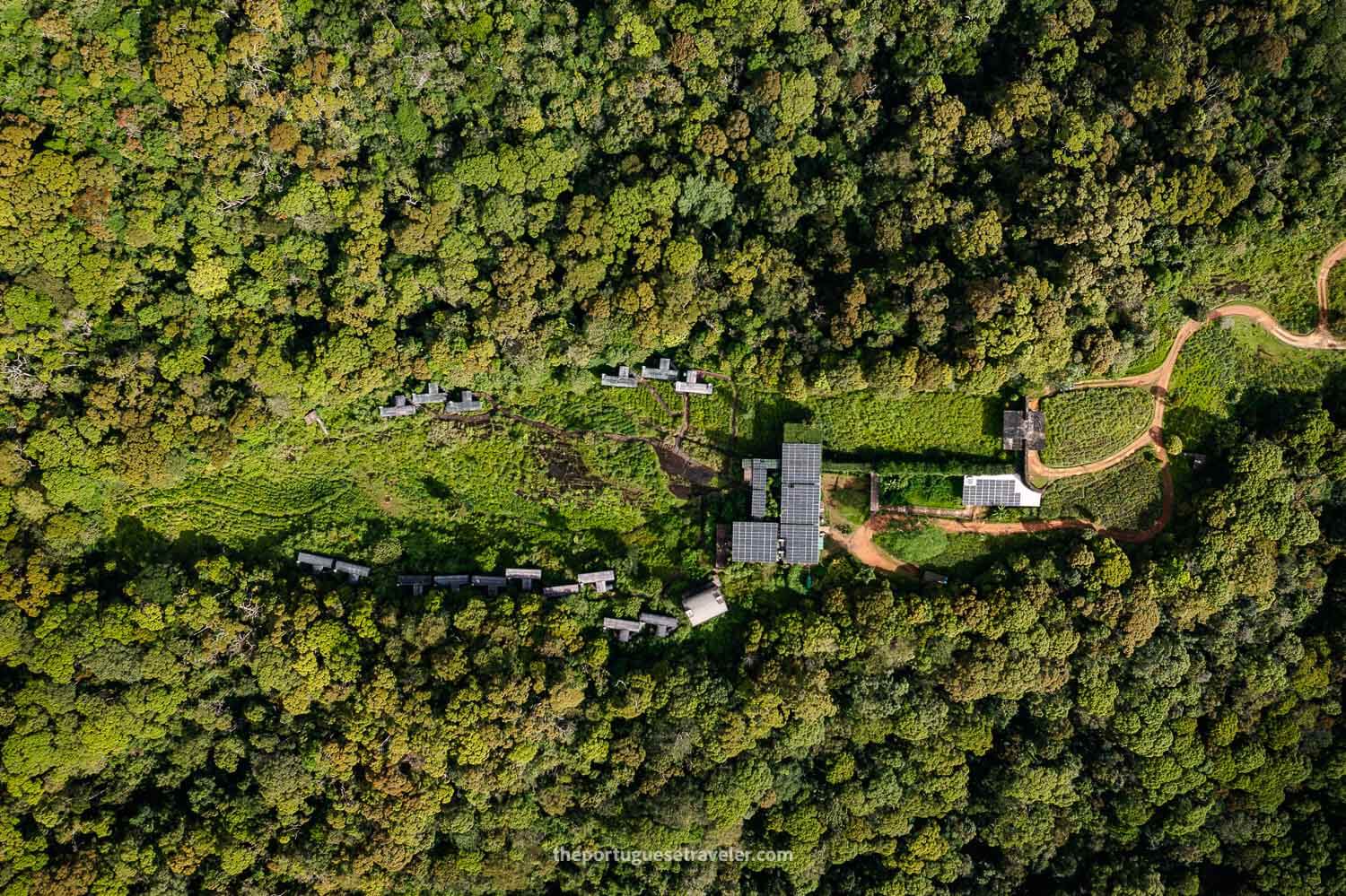 The Rainforest Ecolodge