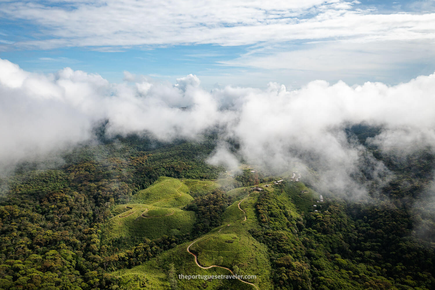 The Rainforest Ecolodge at the Sinharaja Forest Reserve