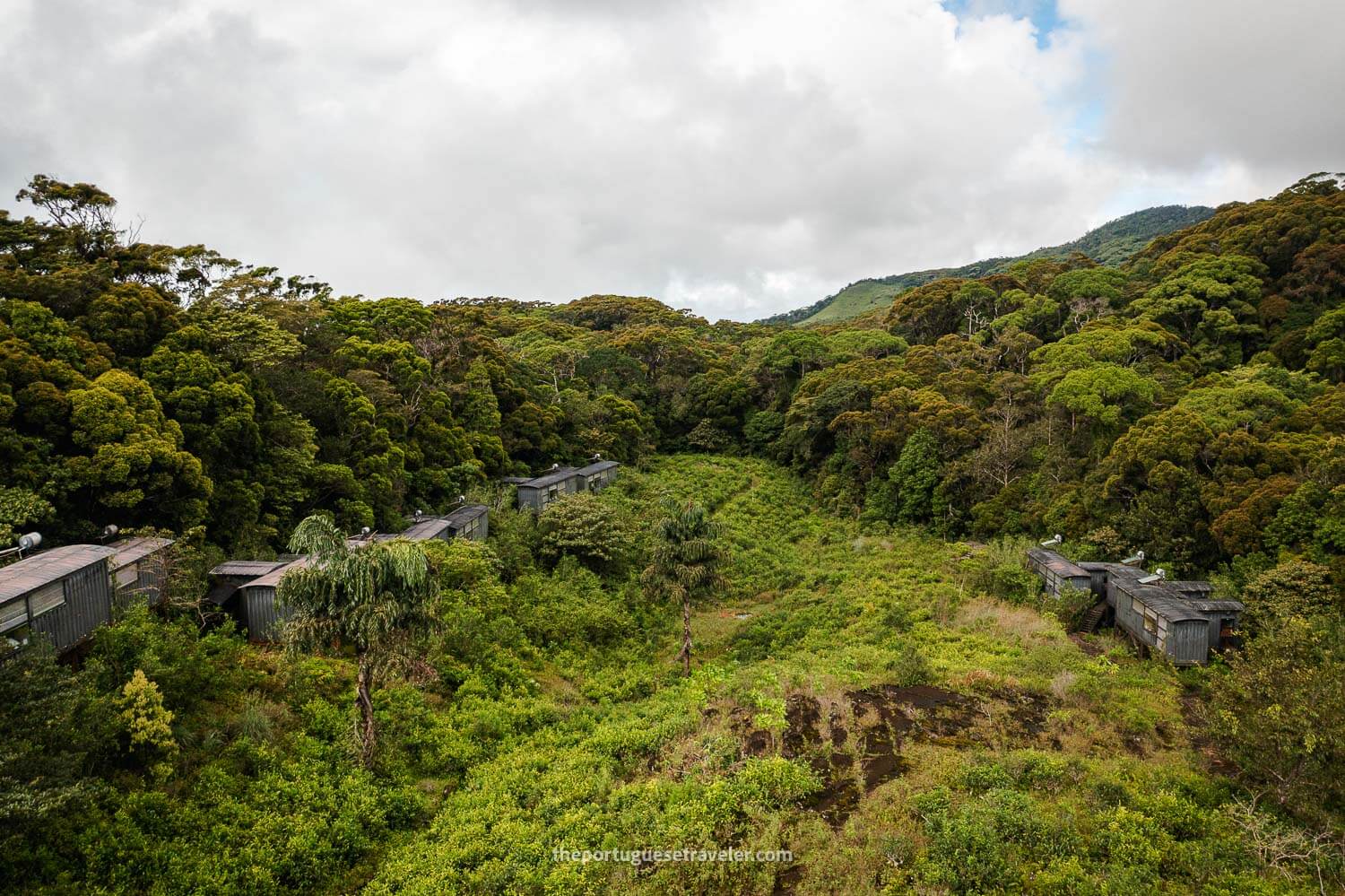 The Lodge in the middle of the Sinharaja Forest Reserve