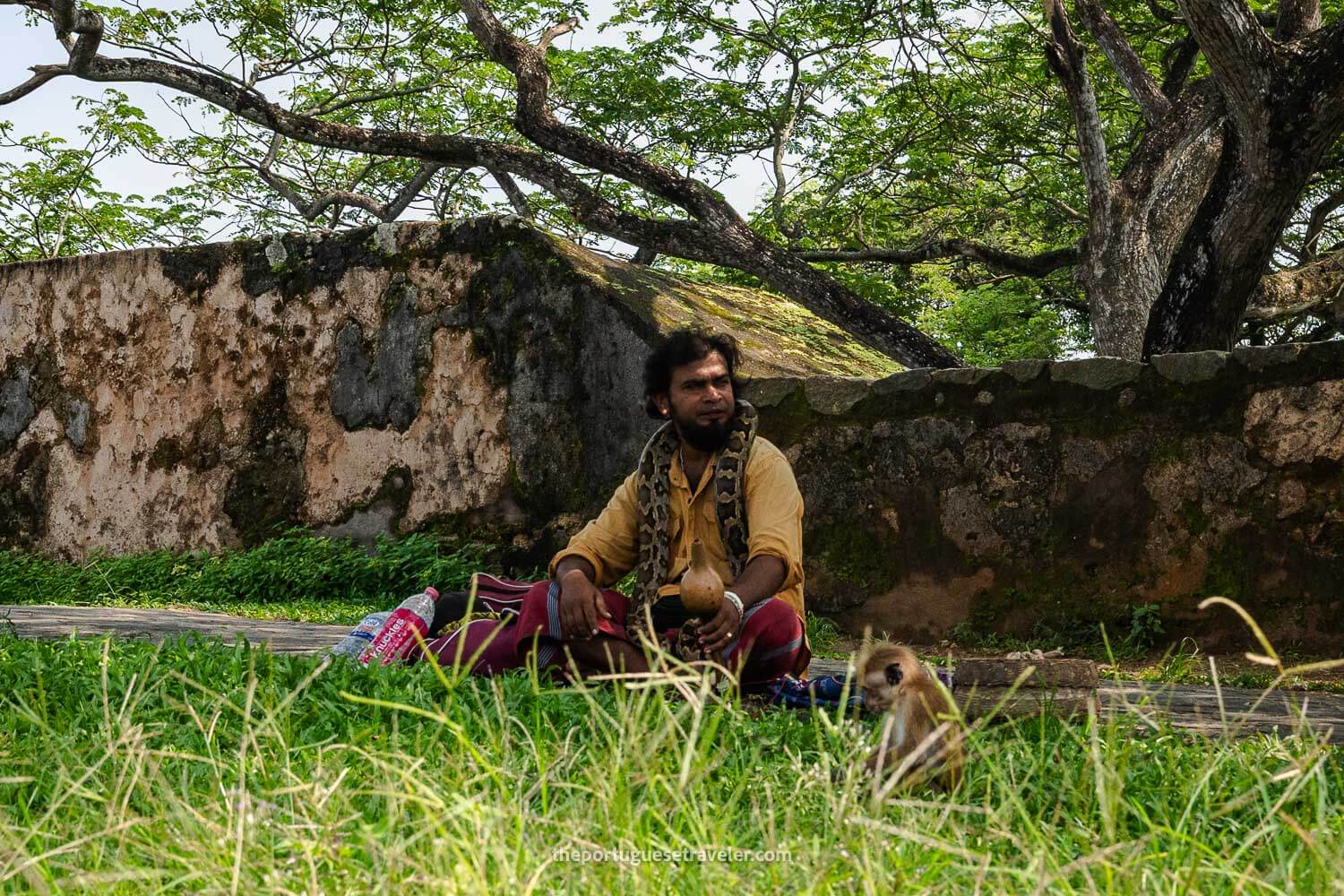 The man with a python and monkey in Galle Fort