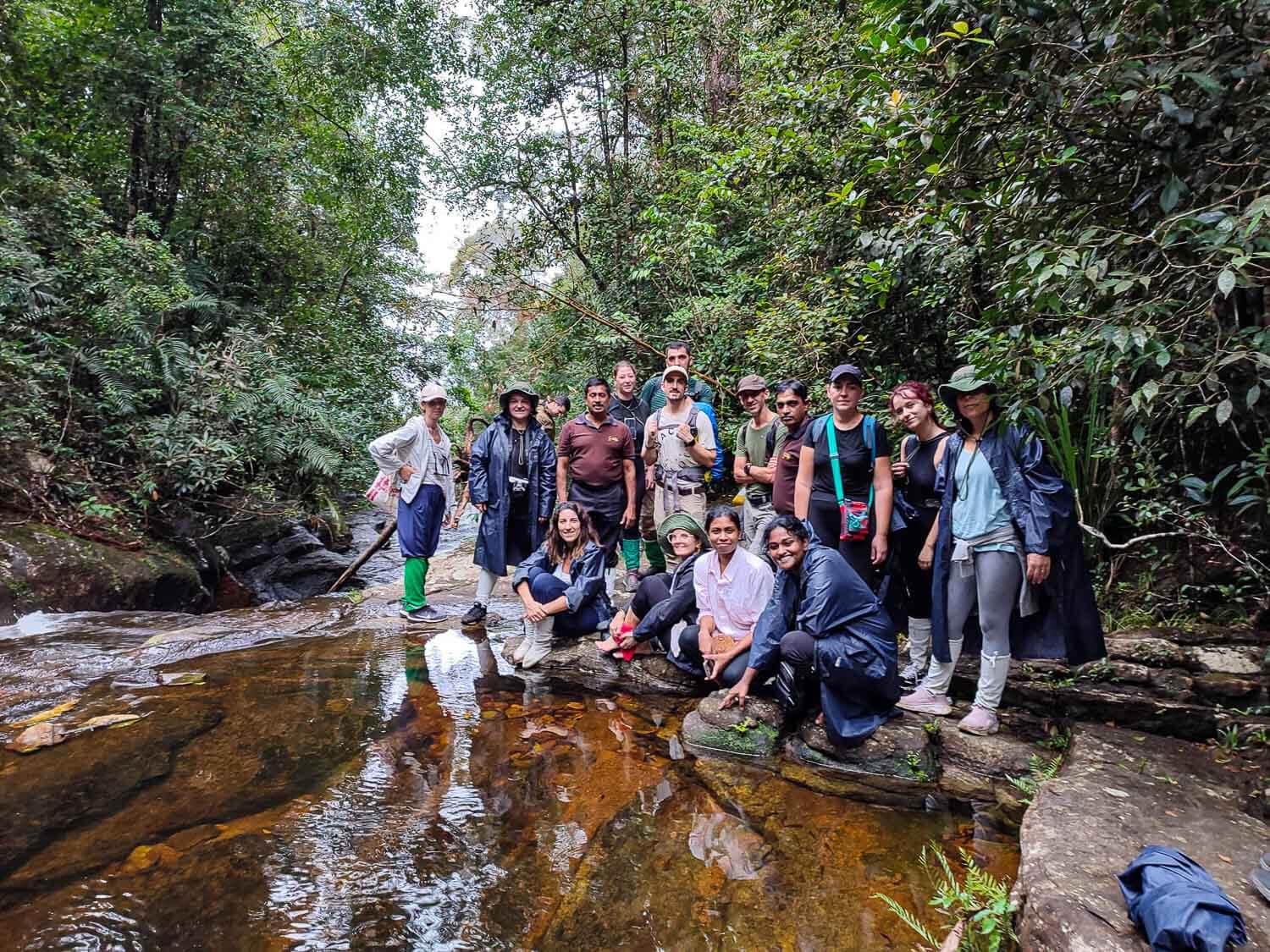 The group in the middle of the jungle hike