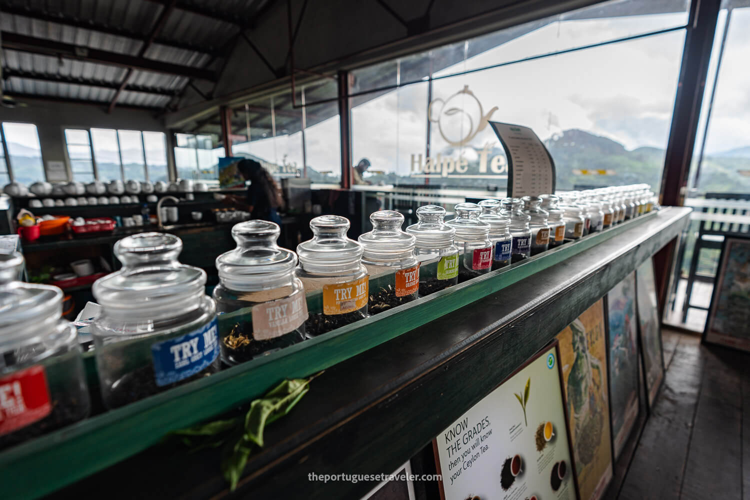 Ceylon Tea Varieties at the Halpewatte Factory