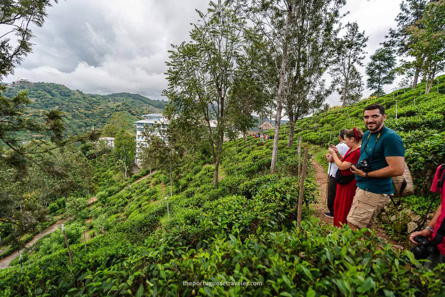 The Halpe Tea Plantation in Ella, Sri Lanka