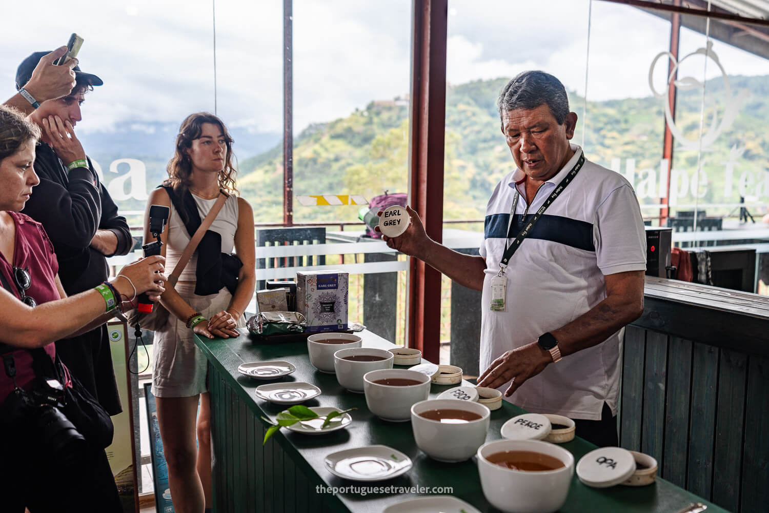 The Tea Tasting Experience at the Halpewatte Factory