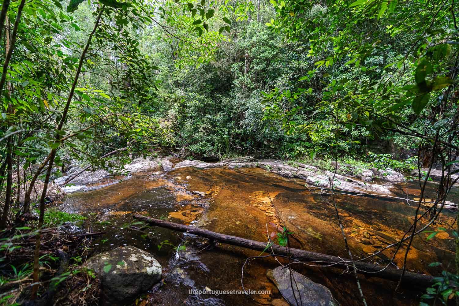 The Red River, at the Sinharaja Forest Reserve