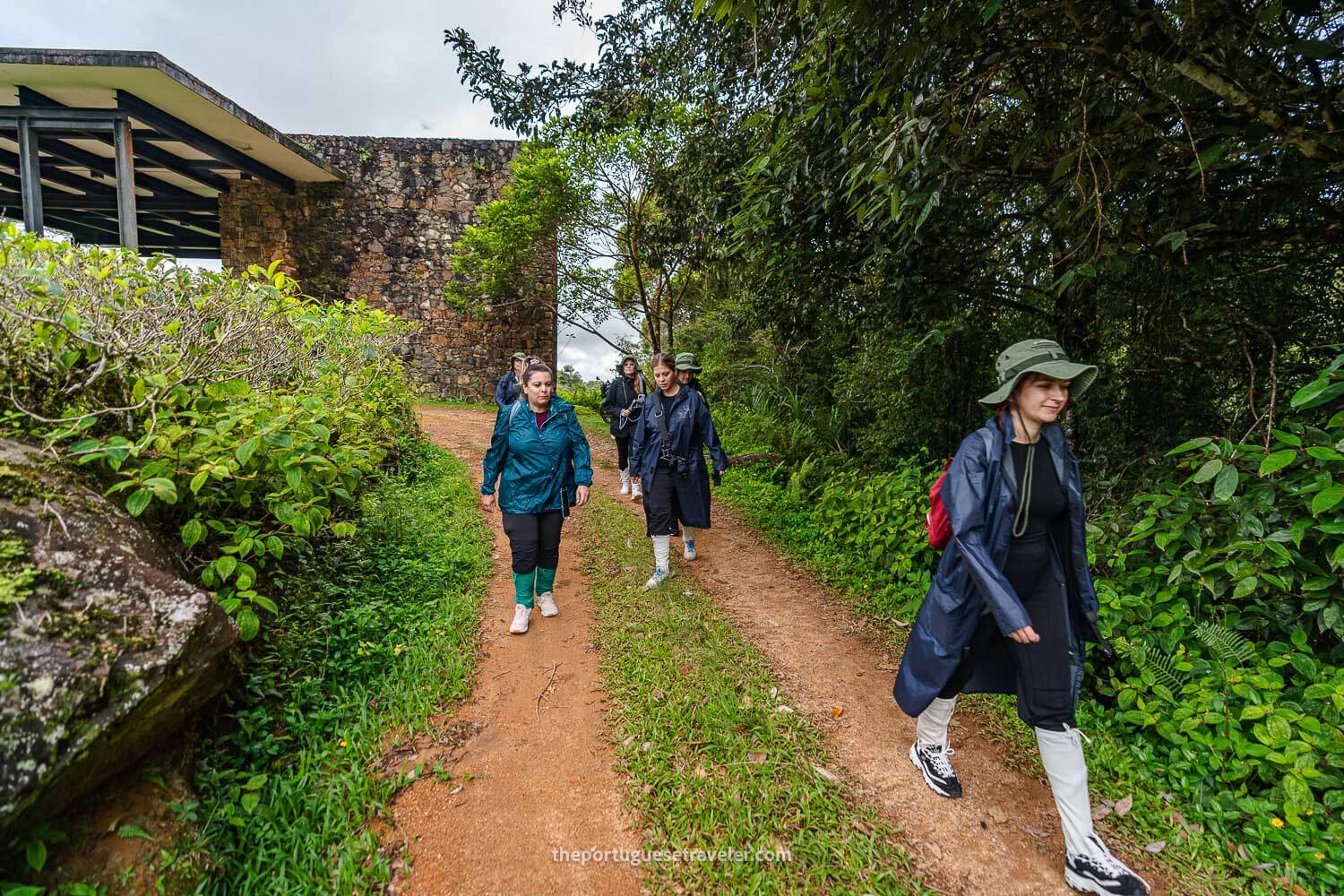 The group on their way to the jungle hike, at the Sinharaja Forest Reserve