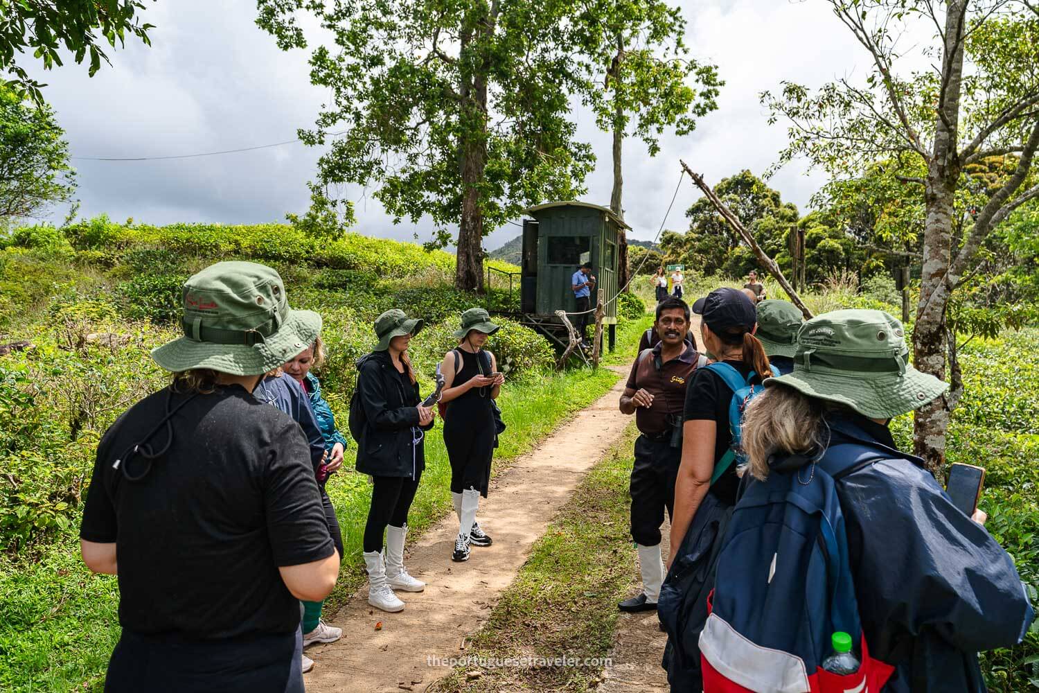 Our guide explaining us the hike, at the Sinharaja Forest Reserve