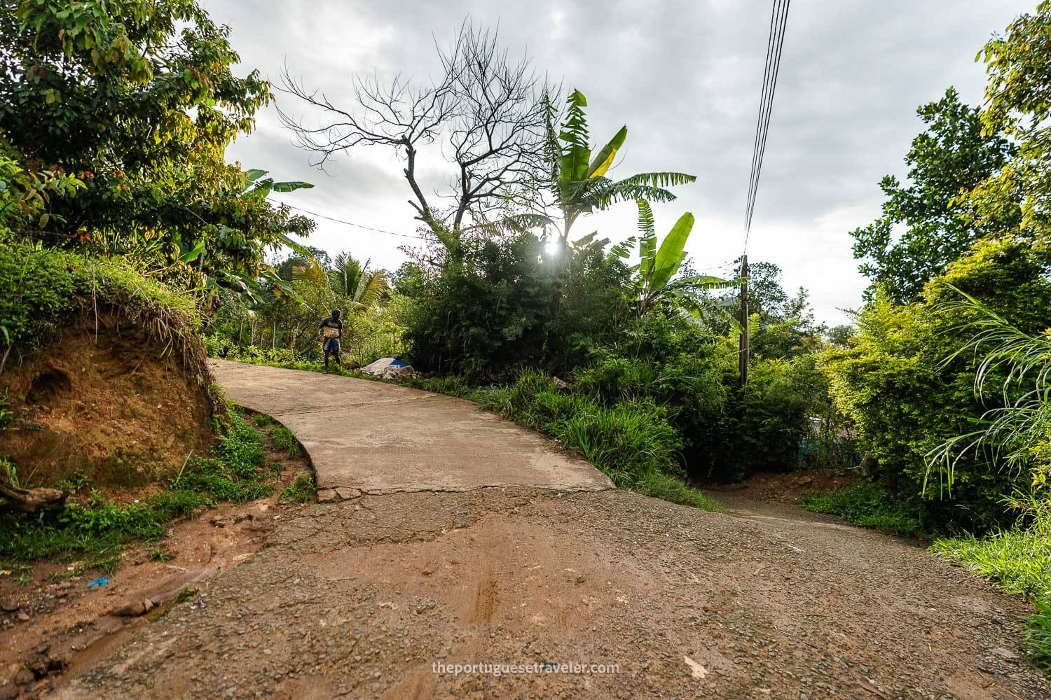 The cement trail of the Little Adam's Peak Hike