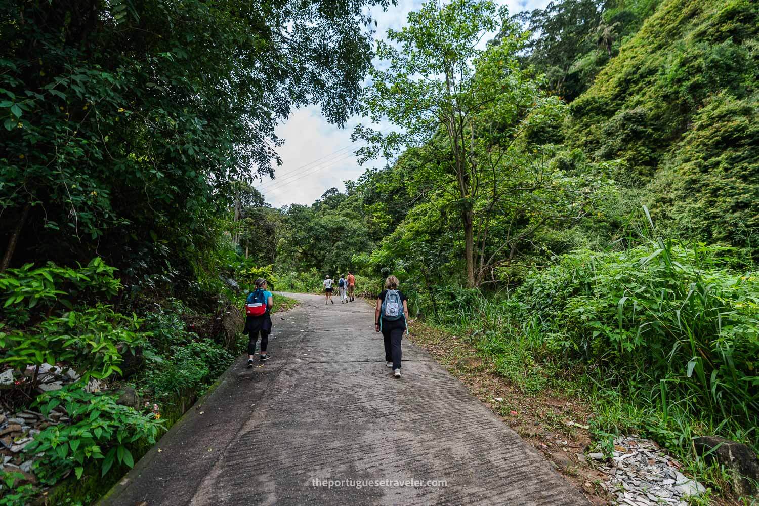 The beginning of the Little Adam's Peak Hike