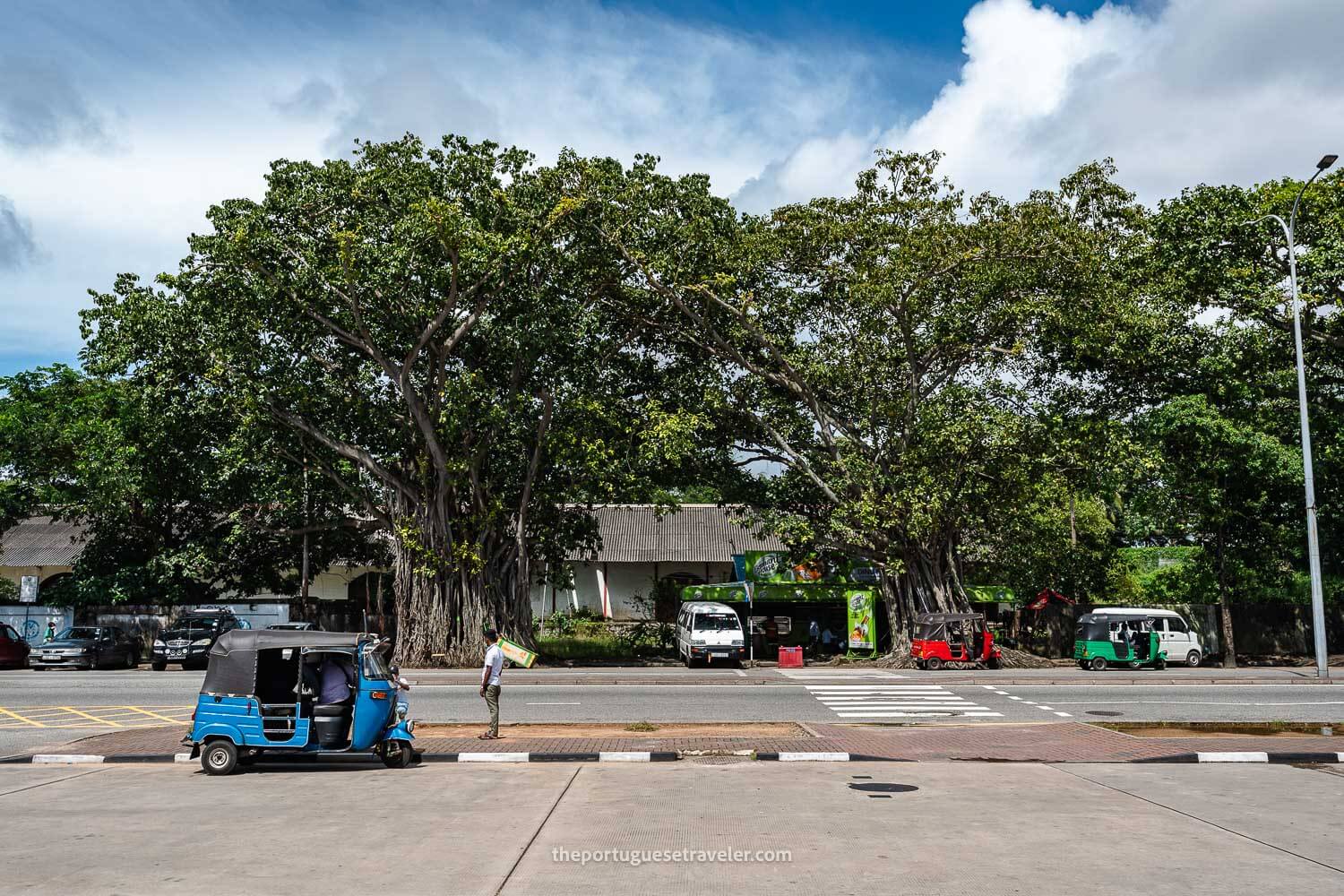 The surroundings around the Lotus Tower, in Colombo Sri Lanka