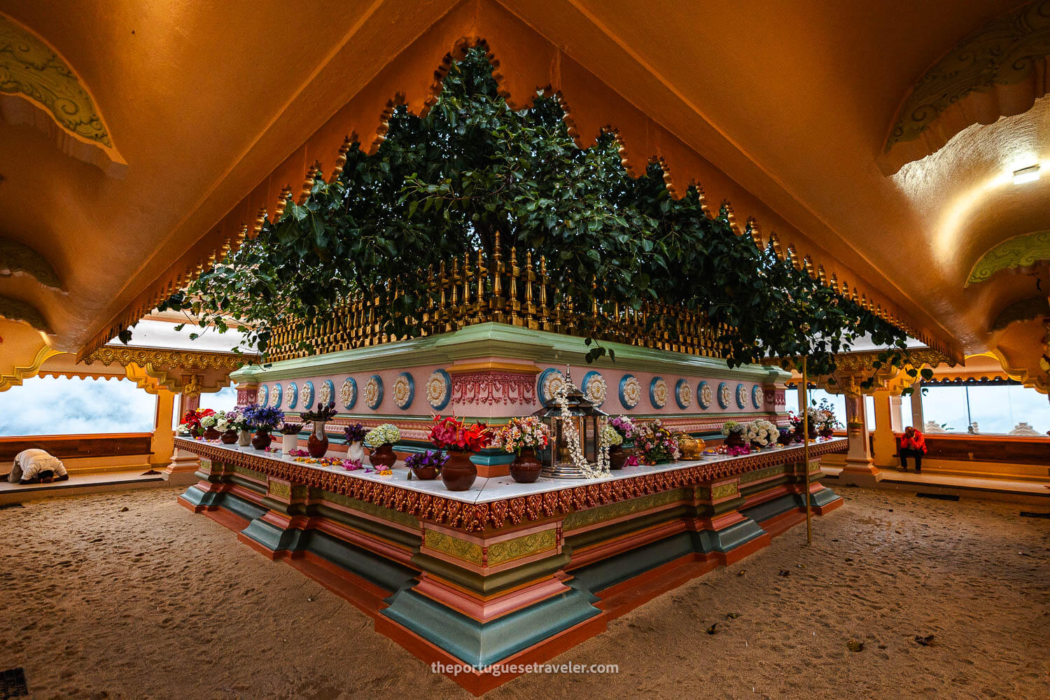 The Bodhi tree surrounded by offerings at the Mahamevnawa Buddhist Monastery