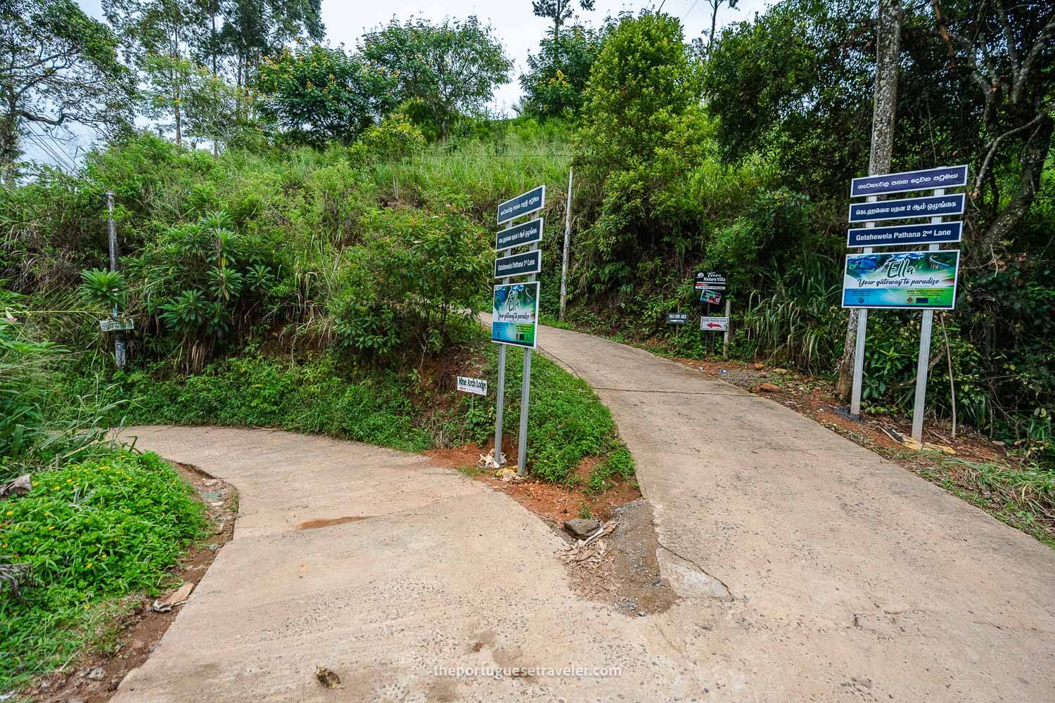 The trail to the bridge (turn left at the intersection)