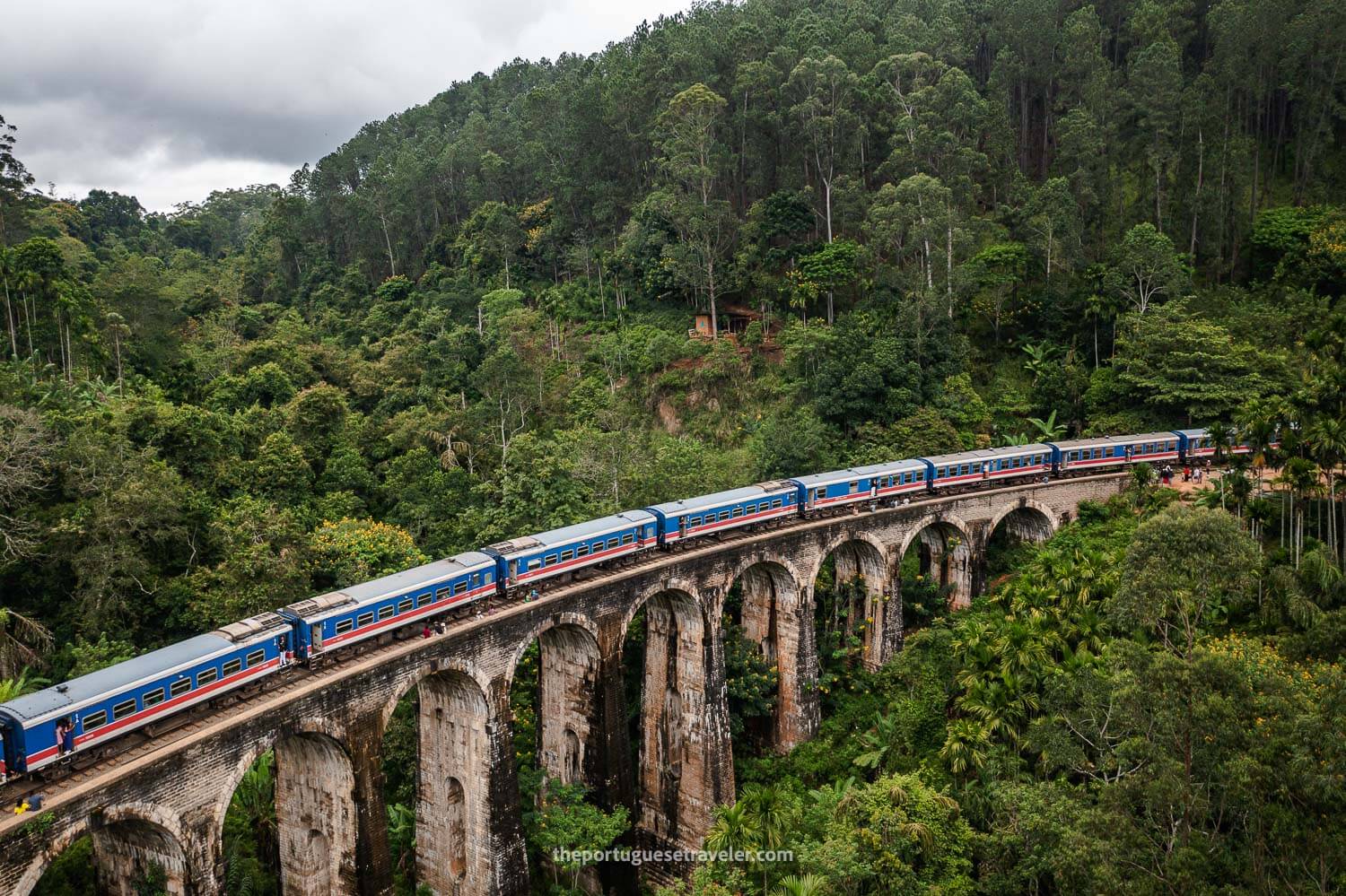 The Nine Arches Bridge's Train in Ella