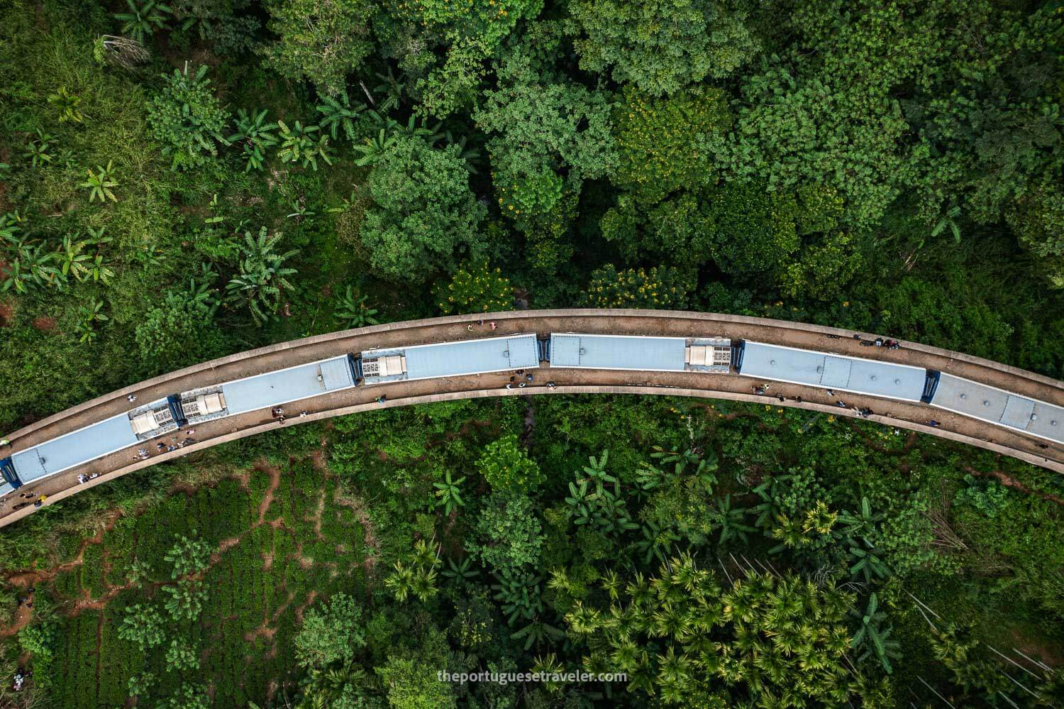 A top down view of the Nine Arches Bridge in Ella, Sri Lanka