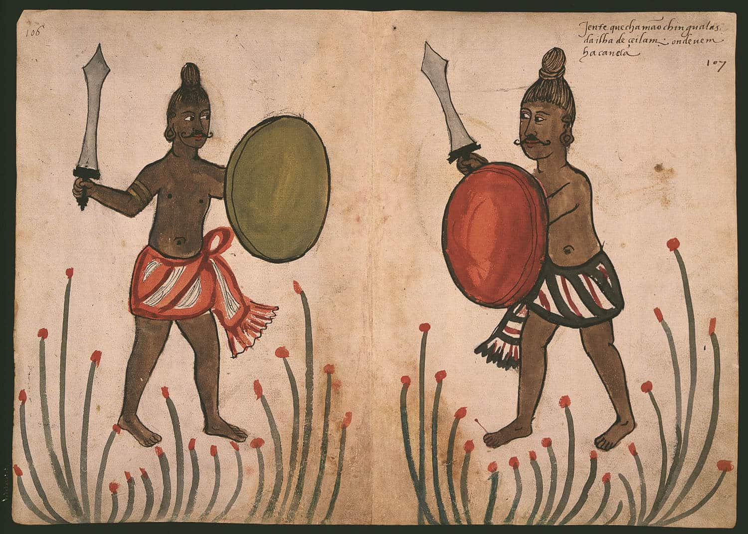 "Chingalas"; warriors of Sri Lanka, "where the cinnamon is born"