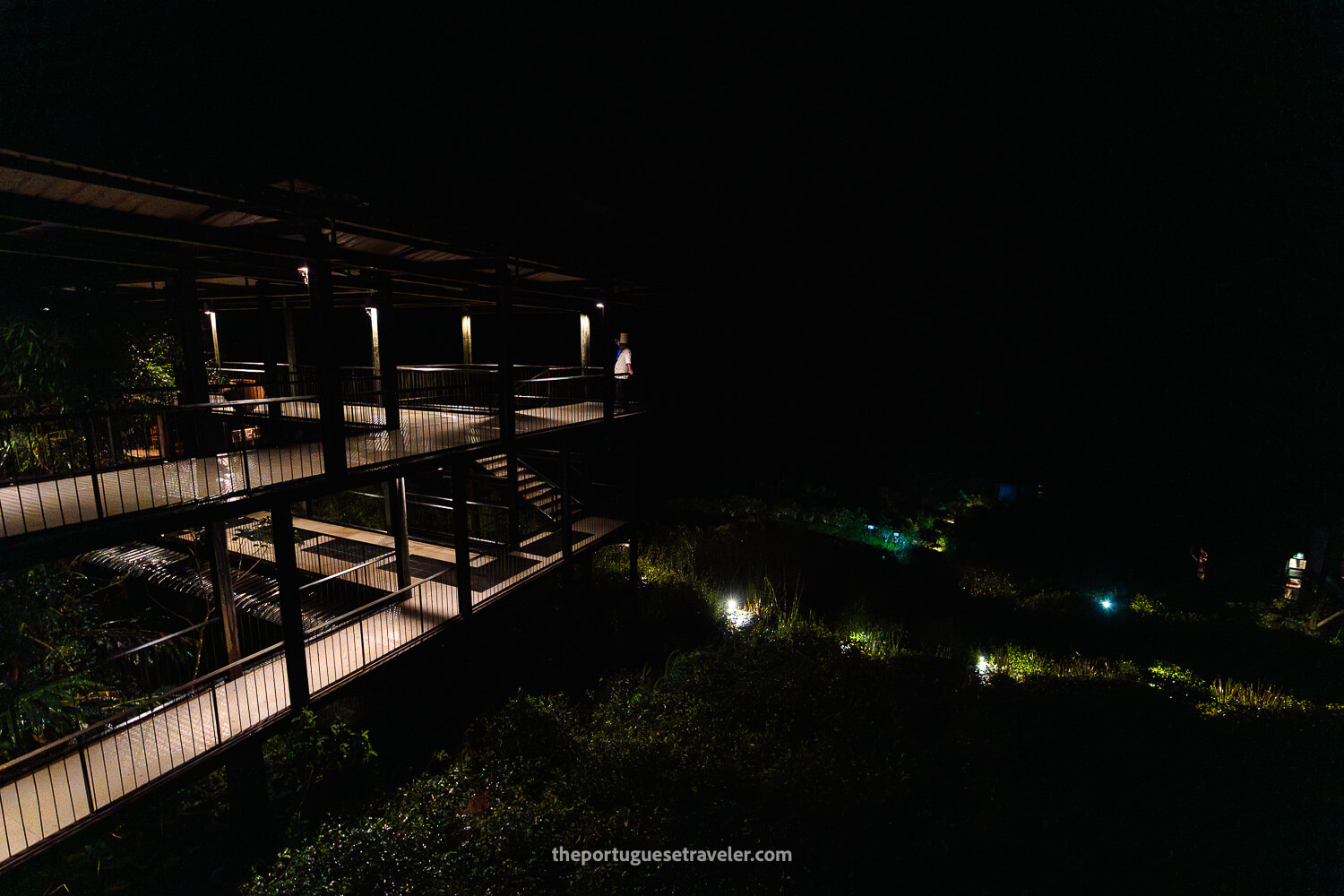 The Rainforest Ecolodge at night