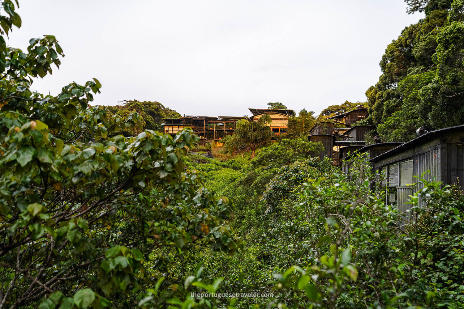 The sunset at the lodge, at the Sinharaja Forest Reserve