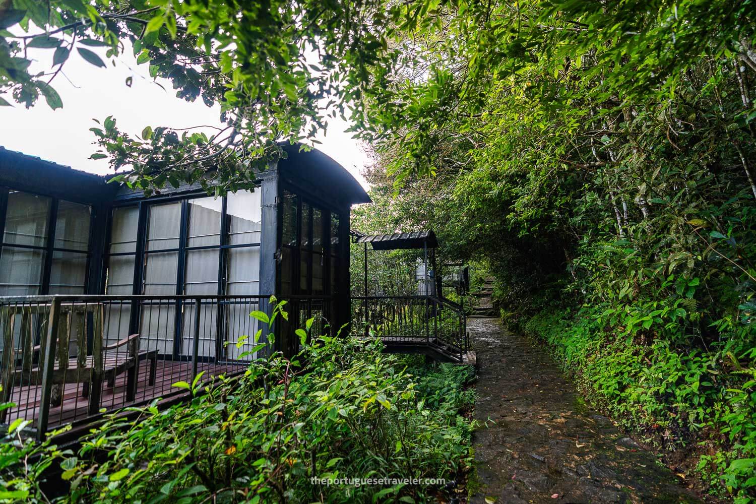 The Cabins at the Rainforest Ecolodge