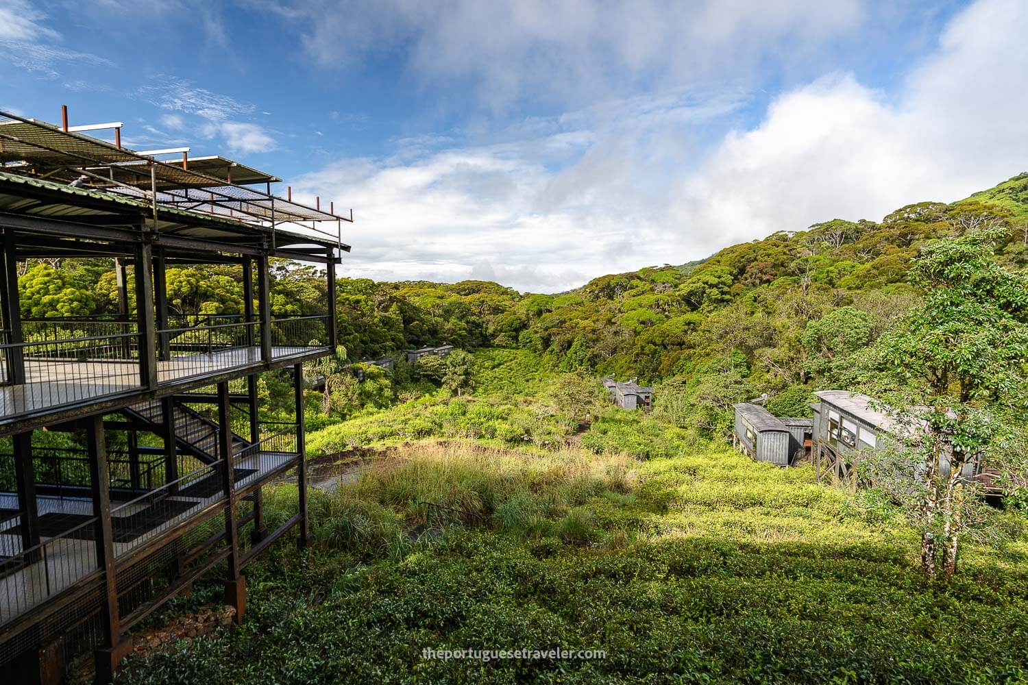 The Rainforest Ecolodge inside the Sinharaja Forest Reserve