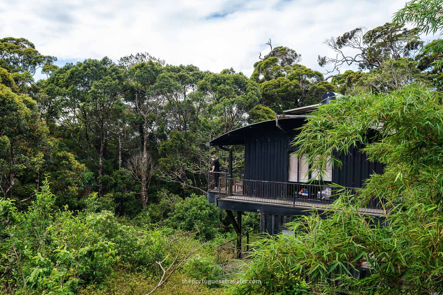 The Rainforest Ecolodge at the Sinharaja Forest Reserve