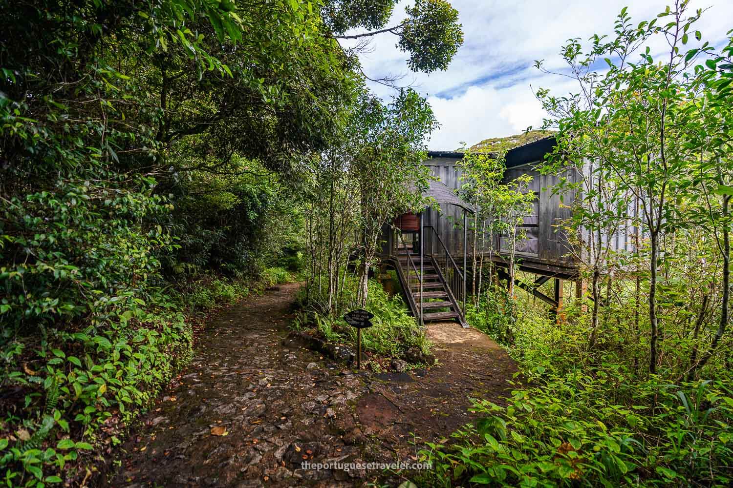 The Rainforest Ecolodge at the Sinharaja Forest Reserve